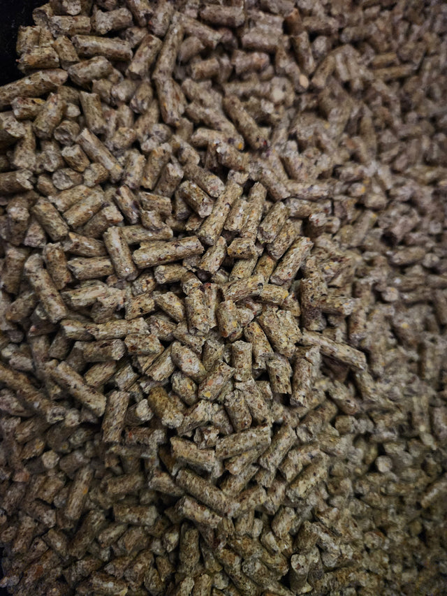Feed & Supplements