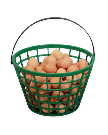 EZ-Gather Egg Basket