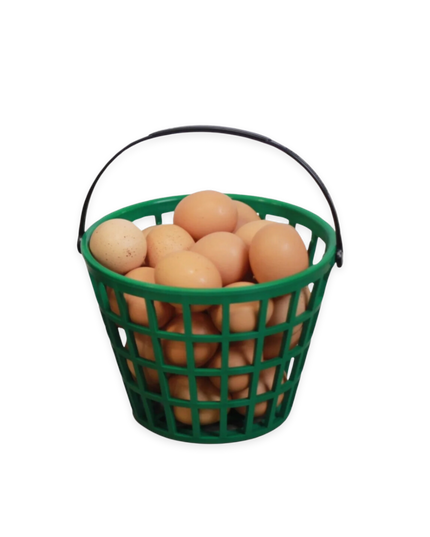 EZ-Gather Egg Basket