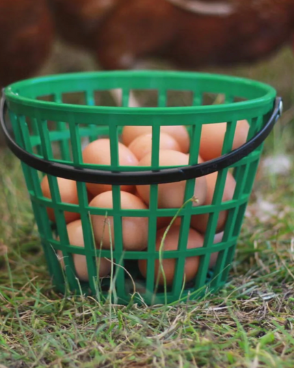 EZ-Gather Egg Basket