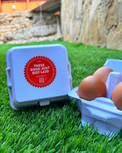 "Just Got Laid" 4-Egg Carton