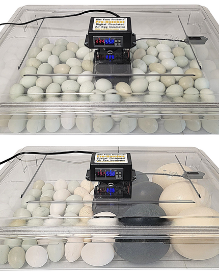 Rite Farm Products PRO Hatcher Incubator for Egg Tray Transfer from Cabinet Incubators