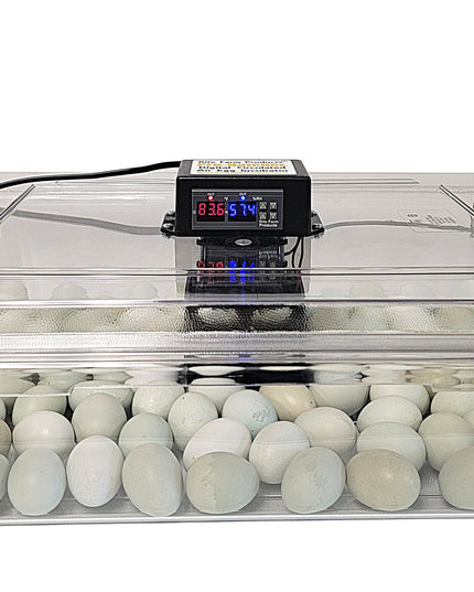 Rite Farm Products PRO Hatcher Incubator for Egg Tray Transfer from Cabinet Incubators