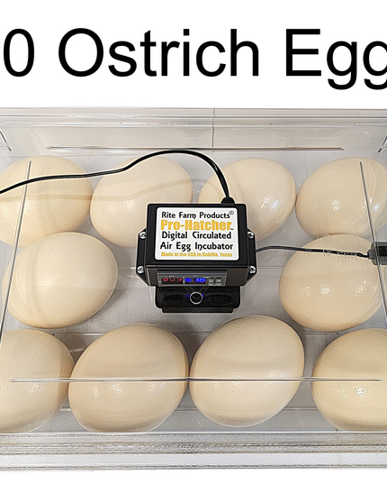 Rite Farm Products PRO Hatcher Incubator for Egg Tray Transfer from Cabinet Incubators
