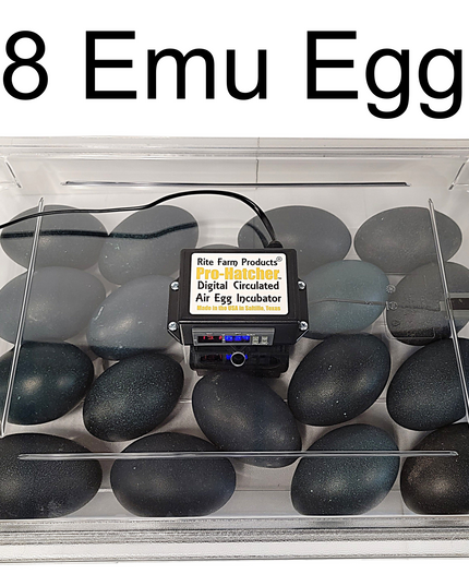 Rite Farm Products PRO Hatcher Incubator for Egg Tray Transfer from Cabinet Incubators
