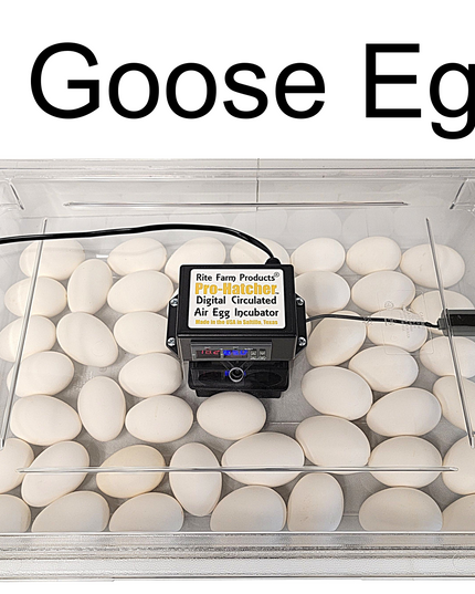 Rite Farm Products PRO Hatcher Incubator for Egg Tray Transfer from Cabinet Incubators