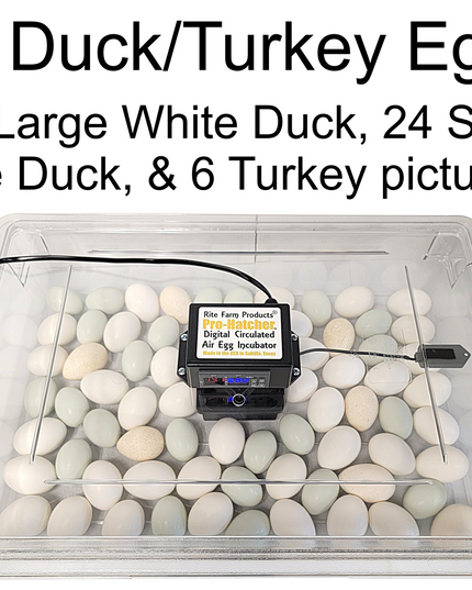 Rite Farm Products PRO Hatcher Incubator for Egg Tray Transfer from Cabinet Incubators