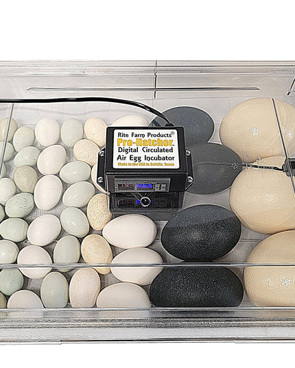 Rite Farm Products PRO Hatcher Incubator for Egg Tray Transfer from Cabinet Incubators