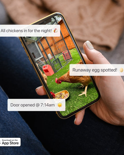 Smart CoopCam