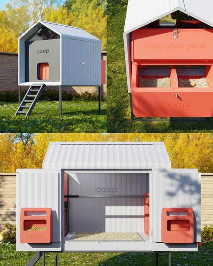 The Smart Coop + Base (+ Free Chicks! 🐣)