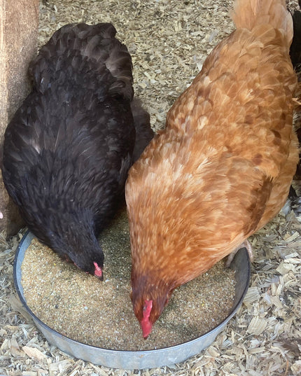 Herbal Layer Feed With Oregano & Garlic - [Oyster Shells Pre-mixed in]