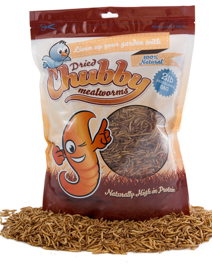 2Lbs Chubby Dried Mealworms