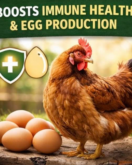 Poultry Nesting Herbs, Includes Oregano, Basil, Red Pepper Flakes, Garlic, Rosemary, Lavender, and More! 8oz, 16oz, 32oz