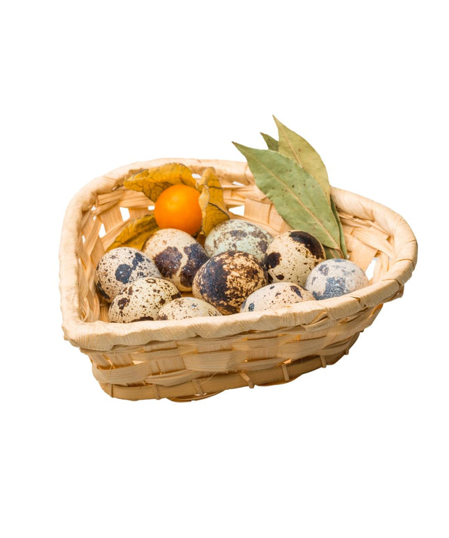 Fresh Quail Eggs Laid in the US