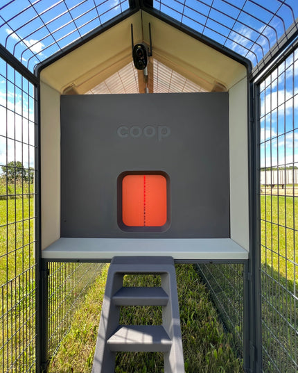 The Smart Coop + Steel Run (+ Free Chicks! 🐣)