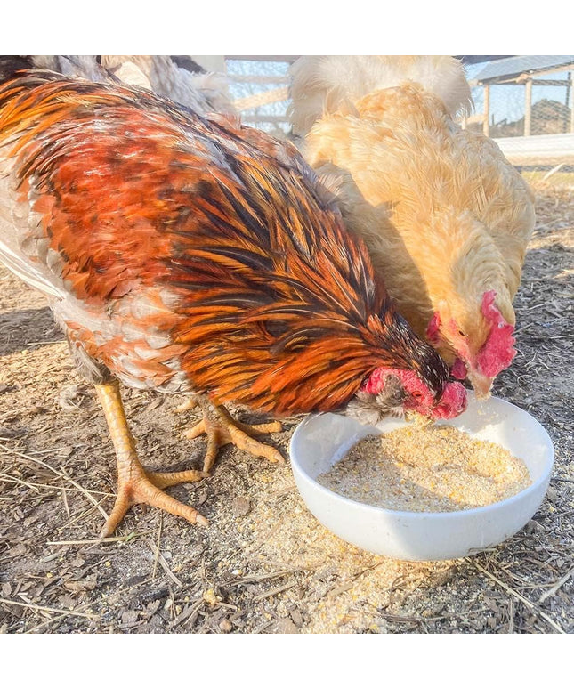 Egg-Cellent Yolks: For Healthy, Golden Yolks - Naturally!