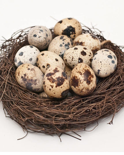 Fresh Quail Eggs Laid in the US