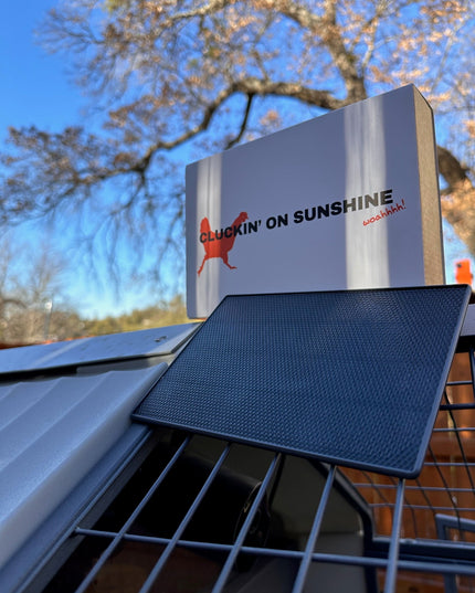 DualCharge Solar Panel