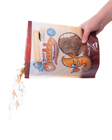 2Lbs Chubby Dried Mealworms