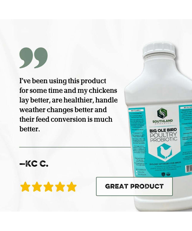 Big Ole Bird | Probiotics for Poultry