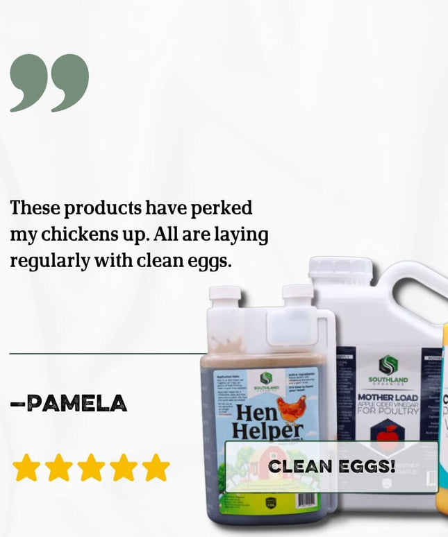 Backyard Poultry Bundle | Chicken Supplements