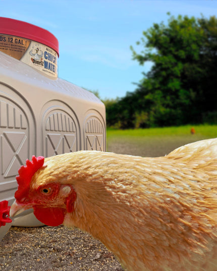 Classic Waterer