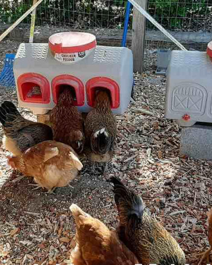 Classic Waterer