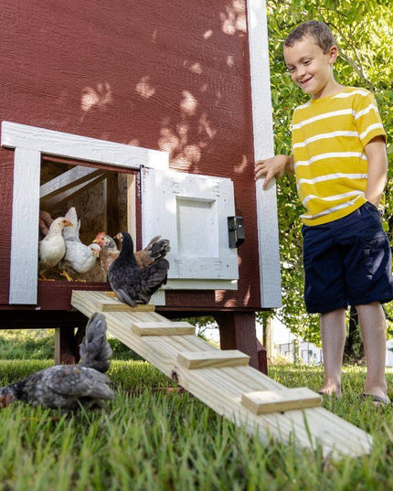 Large Chicken Coop – Houses Up to 15 Chickens