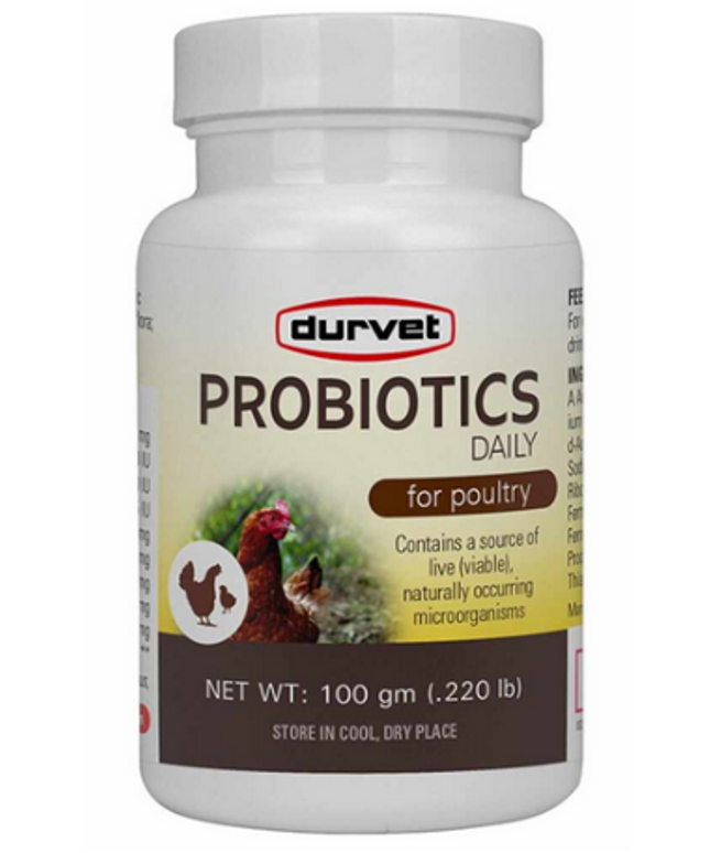 Durvet: Probiotics Daily - Poultry 100 GM