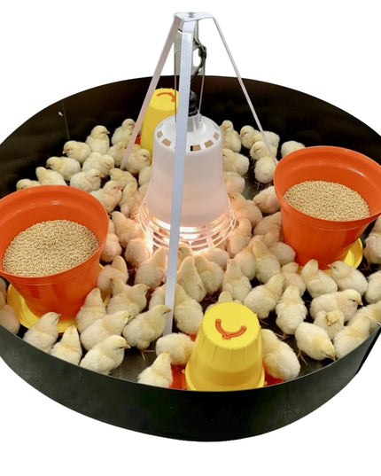 SureGrow™ 100 Chick Brooder - Infrared Electric Brooder
