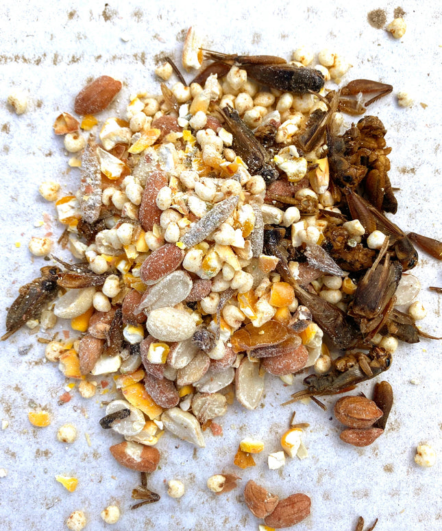Henergy Textured Treat: Makes Cooped Chickens Happy!