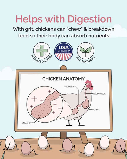 Chicken Grit