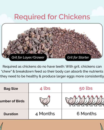 Chicken Grit