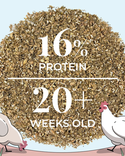 Big Flock Bundle | 2 Months of Organic Feed, Grit & Oyster Shell for 20 Layer Hens