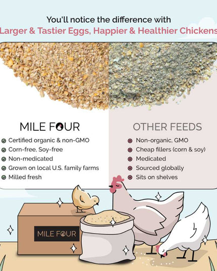 Starter Organic Chicken Feed