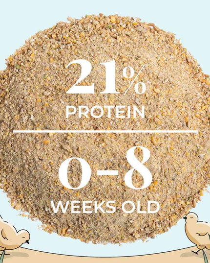 Starter Organic Chicken Feed