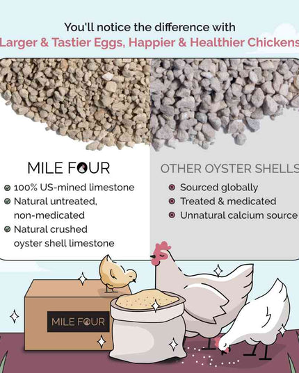 Oyster Shell