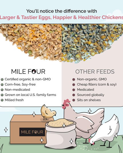Grower Feed Kit | 12 Weeks of Organic Feed & Grit for 6 Pullets
