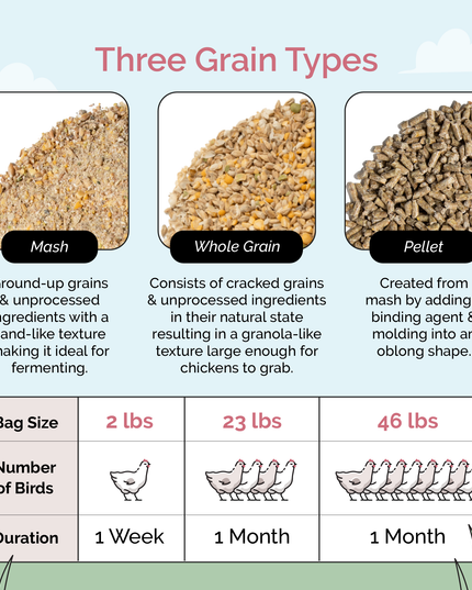 Grower Feed Kit | 12 Weeks of Organic Feed & Grit for 6 Pullets