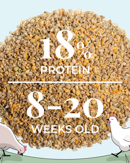 Grower Feed Kit | 12 Weeks of Organic Feed & Grit for 6 Pullets