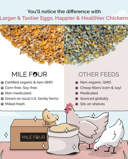 Layer Organic Chicken Feed