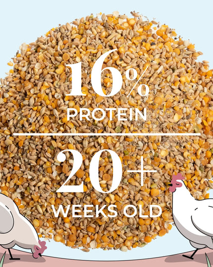 Big Flock Bundle | 2 Months of Organic Feed, Grit & Oyster Shell for 20 Layer Hens