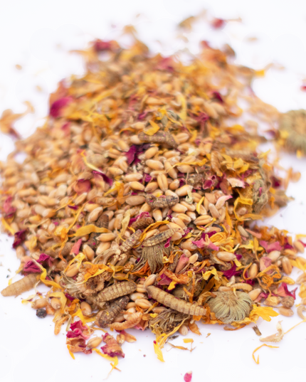 PowerHen (TM) High Protein Treat With Mealworms, Black Soldier Fly Larvae, & Herbs For Backyard Chickens
