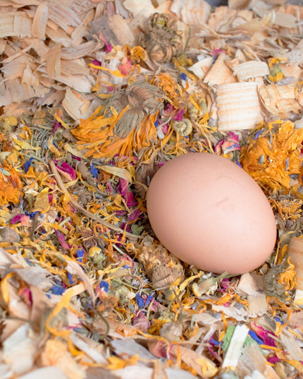 Best Eggs Ever! Nesting Herbs (Chamomile, Roses, Lavender, Cornflowers, & Calendula) For Pet Chickens