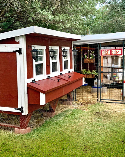 XL Chicken Coop - Up to 20 Chickens