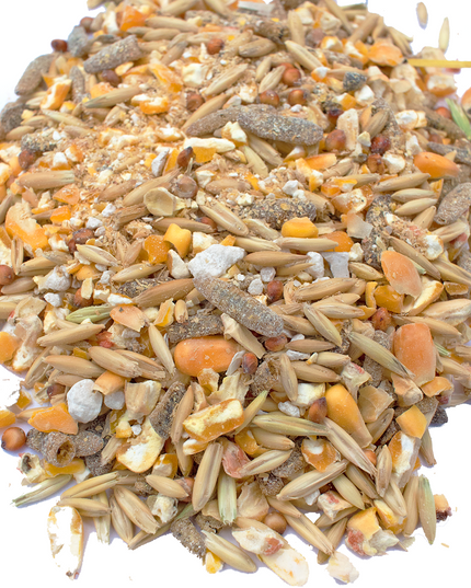 16% Premium Layer Feed With Black Soldier Fly Larvae, Fishmeal, & Herbs {Soy Free + High Protein}
