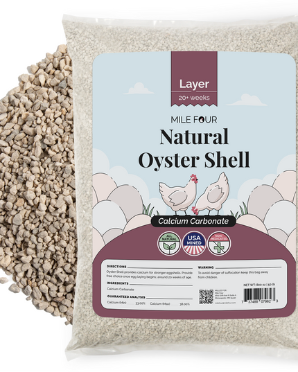 Oyster Shell