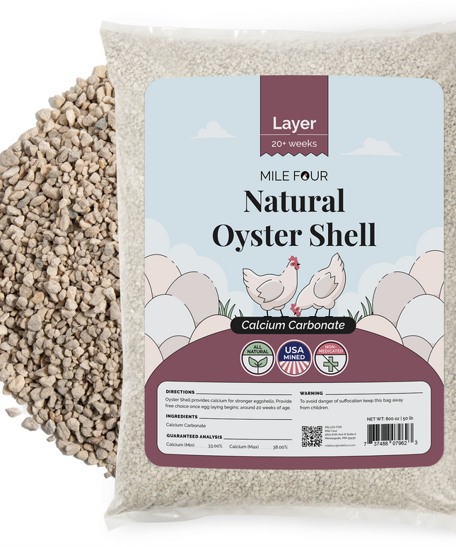 Oyster Shell