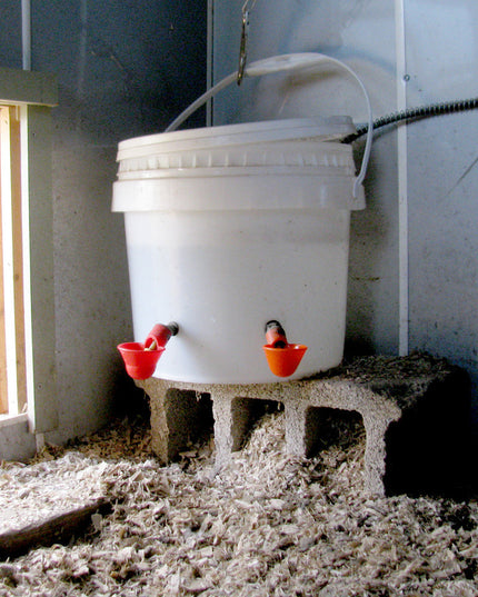 Poultry Drinking Cup 2-pk