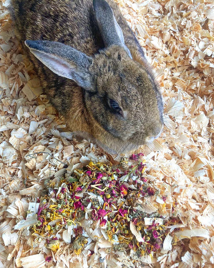 Just The Herbs: Herbal Bedding For Rabbits, Guinea Pigs, Chinchillas, & Hamsters